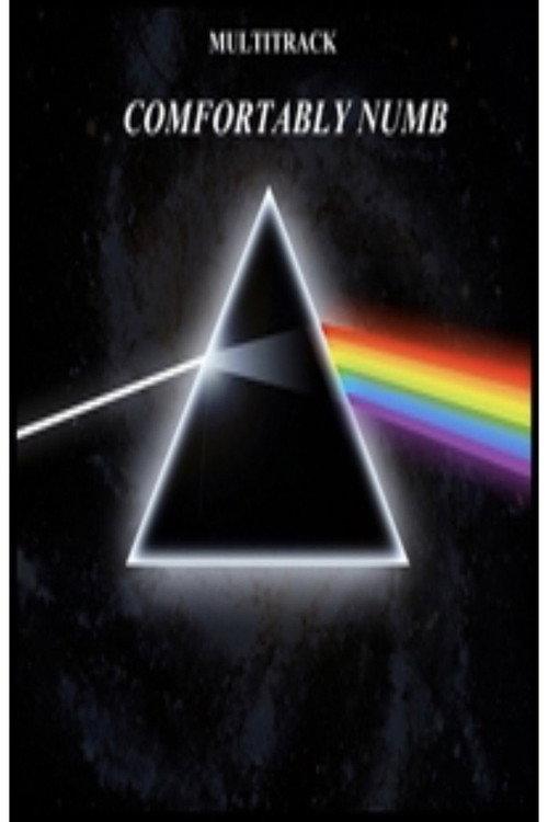 Pink Floyd - Comfortably Numb 2005 official movie poster