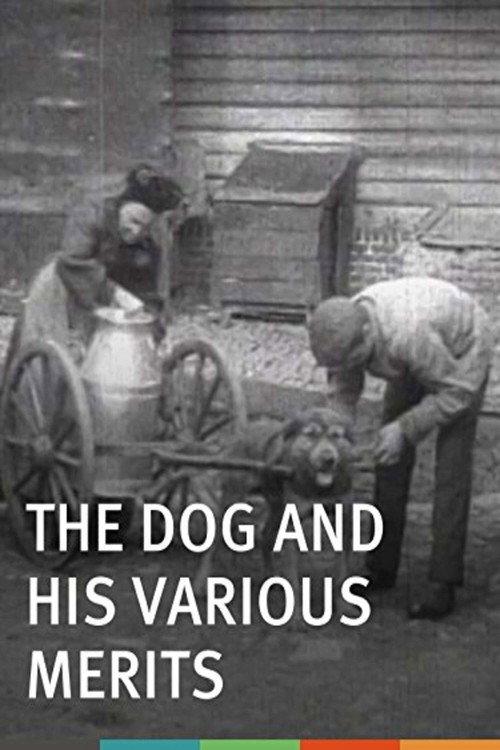The Dog and His Various Merits 1907 official movie poster