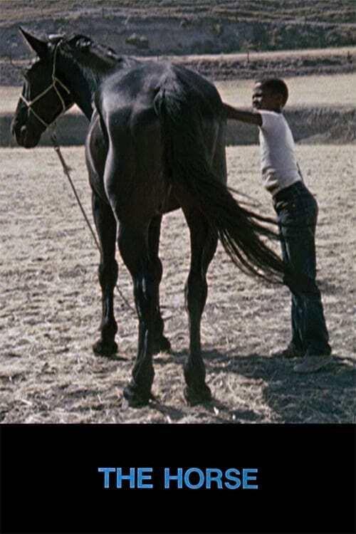 The Horse 1973 official movie poster
