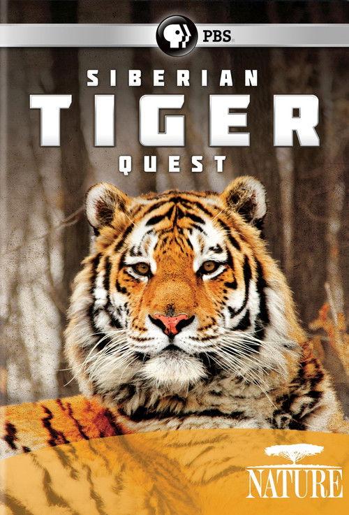 Siberian Tiger Quest 2012 official movie poster
