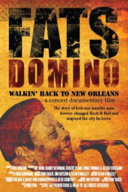 Fats Domino: Walkin' Back to New Orleans 2008 official movie poster