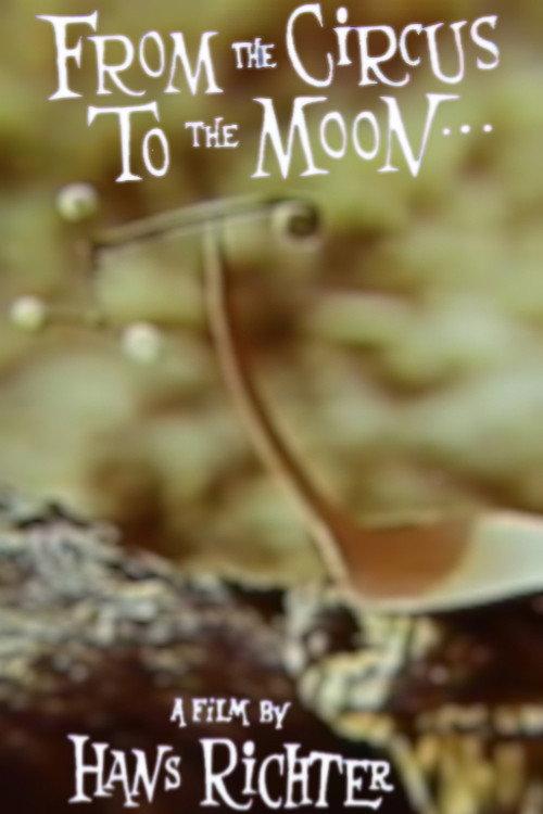 From the Circus to the Moon 1963 official movie poster