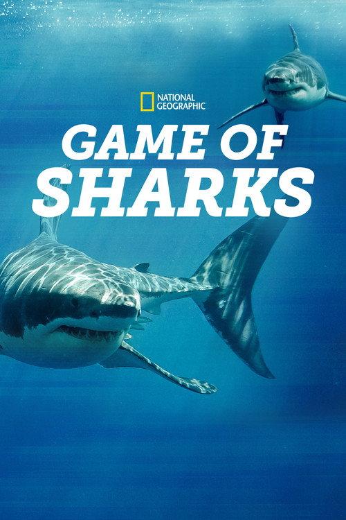 Game of Sharks 2022 official movie poster