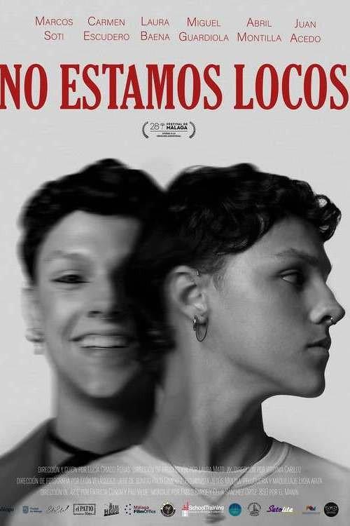 No estamos locos 2025 official movie poster