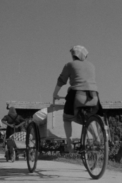 Laundresses from Bizovik 1959 official movie poster