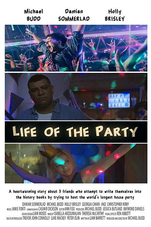 Life of the Party 2017 official movie poster