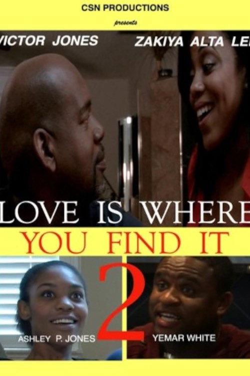 Love Is Where You Find It 2 2012 official movie poster
