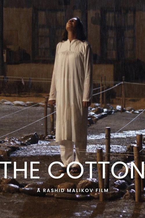 Cotton 2025 official movie poster