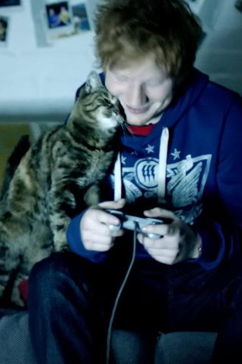 Ed Sheeran: Drunk 2012 official movie poster