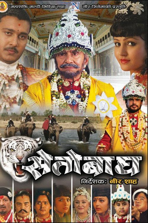 Seto Bagh 2015 official movie poster