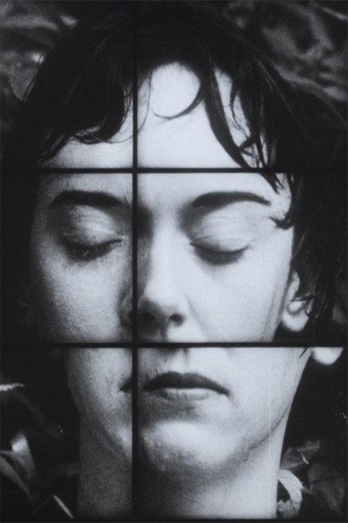 A Temporary Arrangement 1995 official movie poster