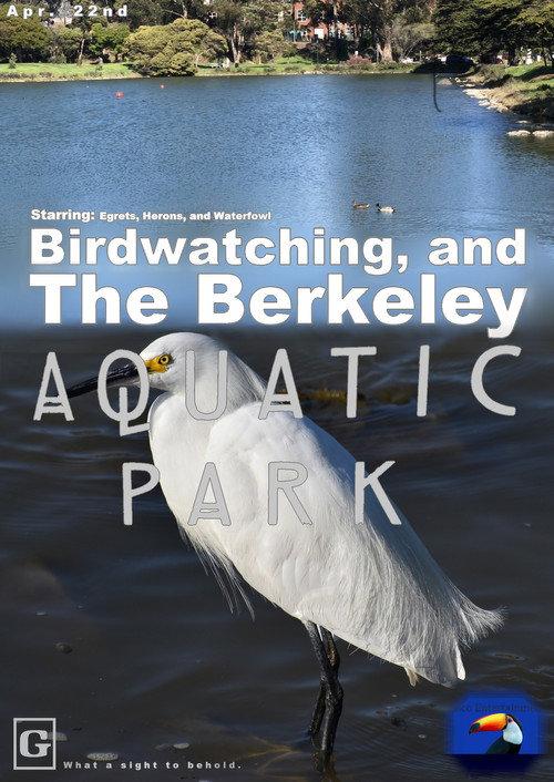 The Berkeley Aquatic Park 2021 official movie poster