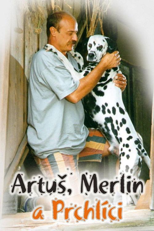 Artus, Merlin a Prchlici 1995 official movie poster