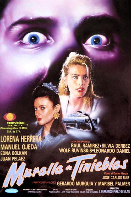 Wall of Darkness 1994 official movie poster