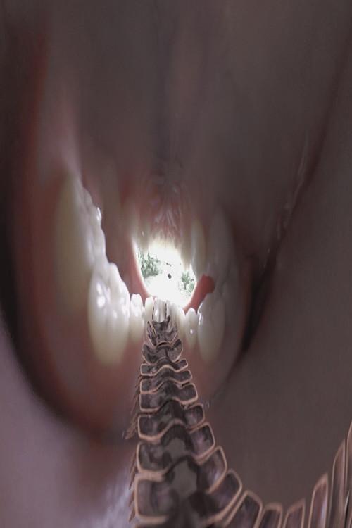 mouthbreather 2023 official movie poster