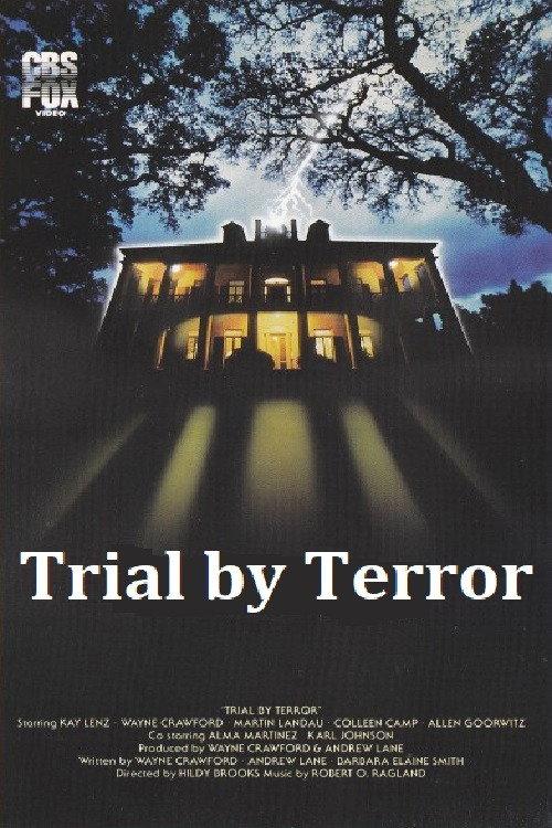 Trial by Terror 1983 official movie poster