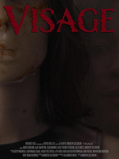 Visage 2026 official movie poster