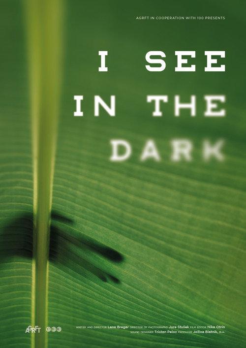 I See in the Dark 2019 official movie poster