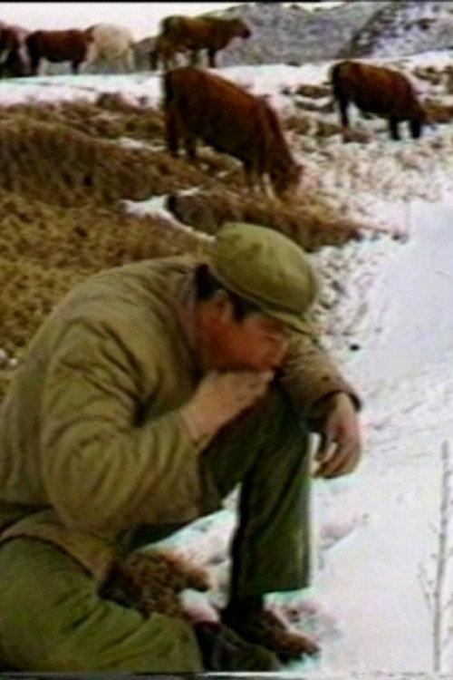 The Cattle Herdsman 1986 official movie poster