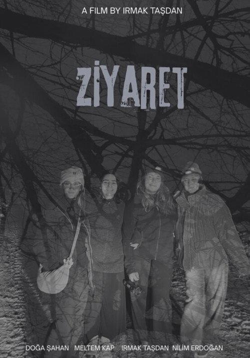 Ziyaret 2026 official movie poster