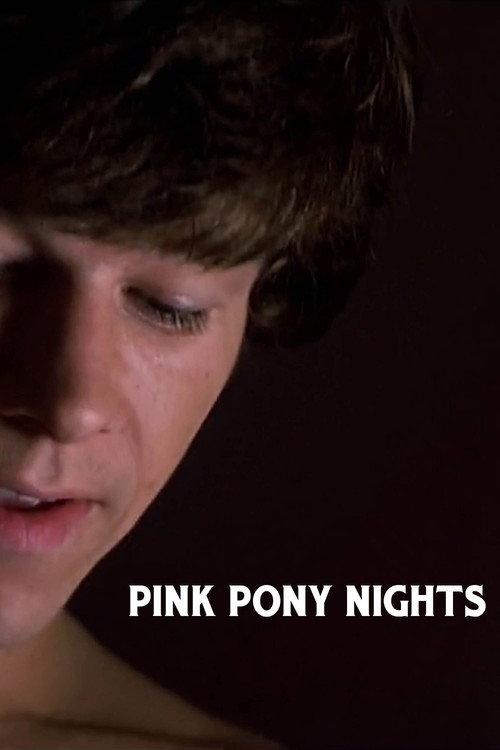PINK PONY NIGHTS 2025 official movie poster
