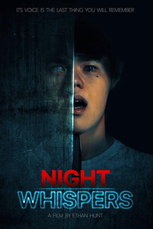 Night Whispers 2024 official movie poster