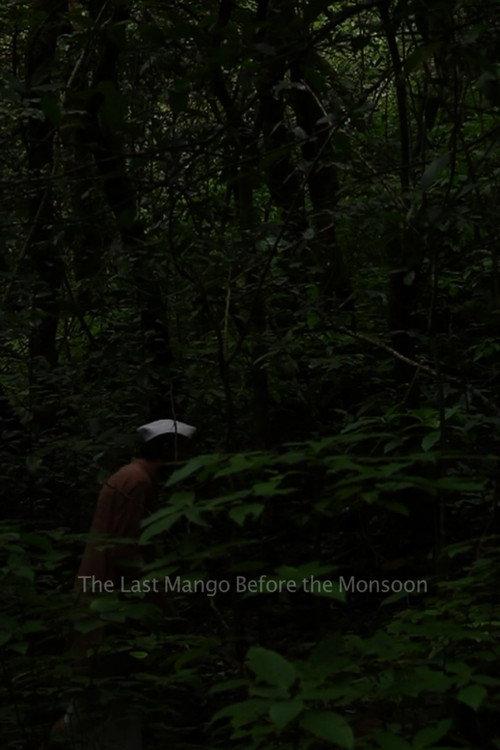 The Last Mango Before the Monsoon 2015 official movie poster