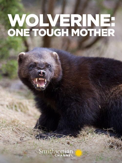 Wolverine: One Tough Mother 2021 official movie poster