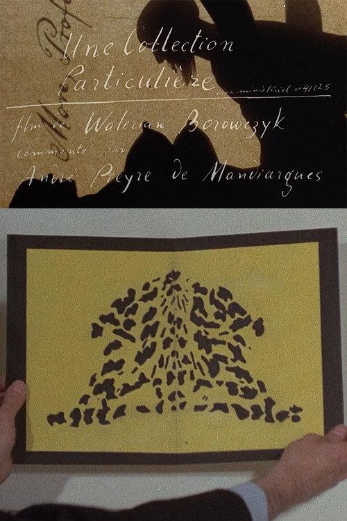A Private Collection 1972 official movie poster