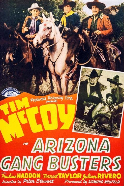 Arizona Gang Busters 1940 official movie poster