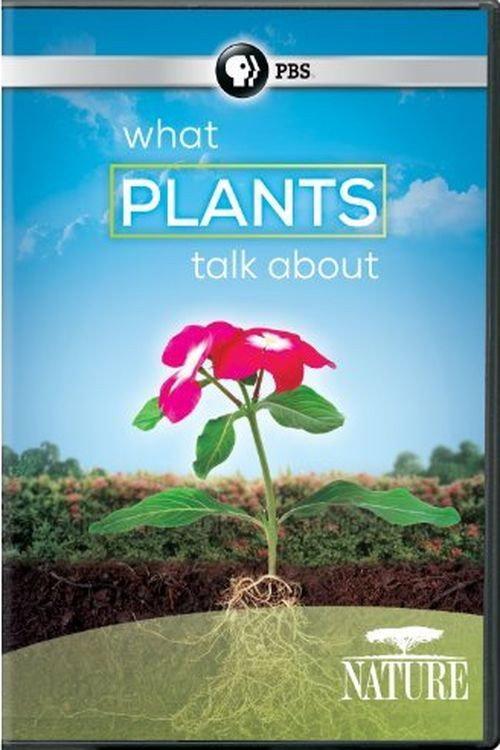What Plants Talk About 2013 official movie poster
