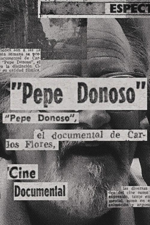 Pepe Donoso 1978 official movie poster