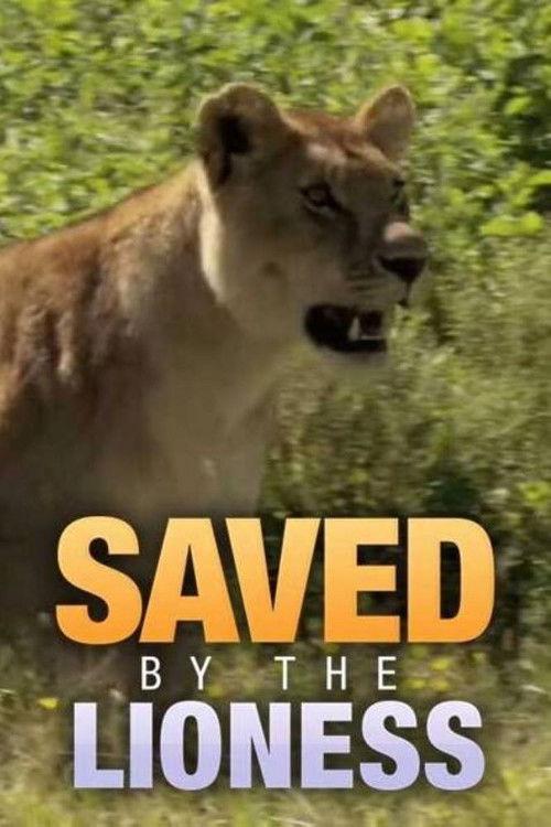Saved by the Lioness 2009 official movie poster