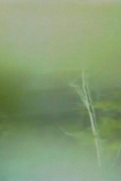 Fragments of an interior space 1980 official movie poster