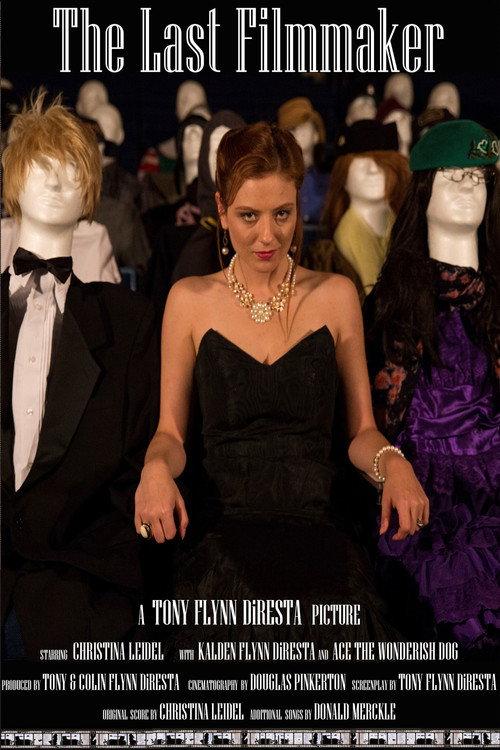 The Last Filmmaker 2016 official movie poster