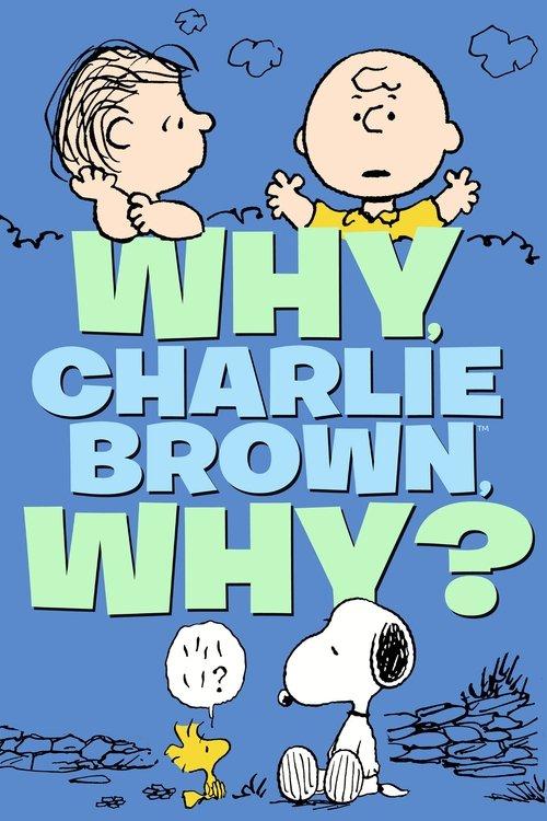 Why, Charlie Brown, Why? 1990 official movie poster