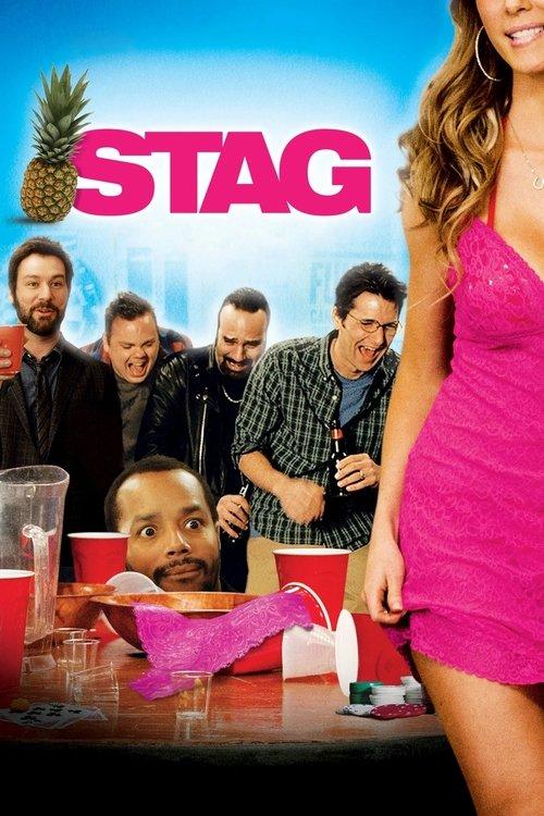 Stag 2013 official movie poster