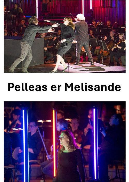 Pelleas et Melisande 2015 official movie poster