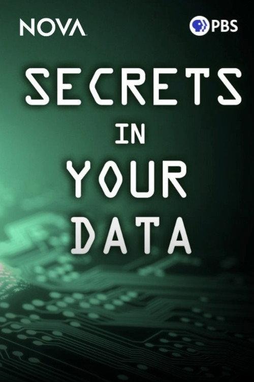 Secrets in Your Data 2024 official movie poster