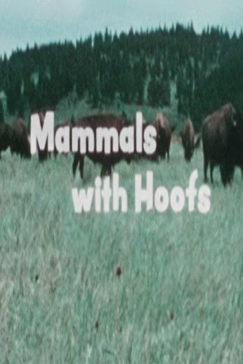 Mammals With Hoofs 1977 official movie poster