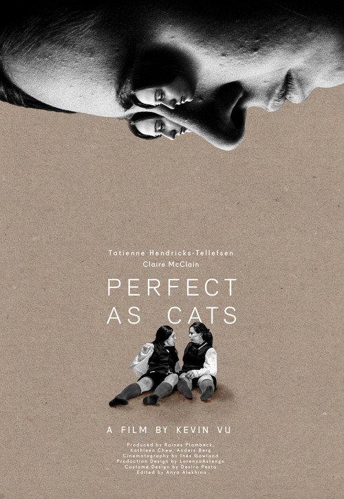 Perfect as Cats 2020 official movie poster