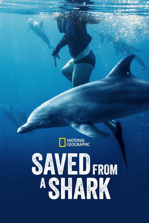 Saved From a Shark 2023 official movie poster