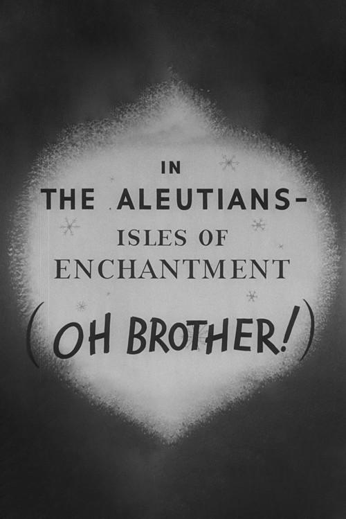 In the Aleutians 1945 official movie poster