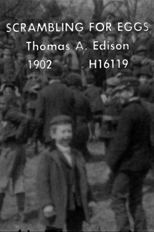 Scrambling for Eggs 1902 official movie poster