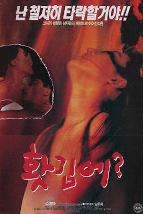 In Anger? 1993 official movie poster