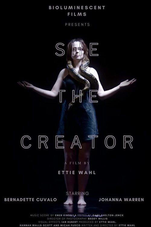 She the Creator 2022 official movie poster