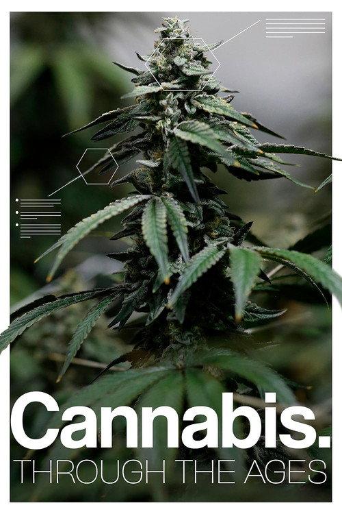 Cannabis: Through the Ages 2020 official movie poster
