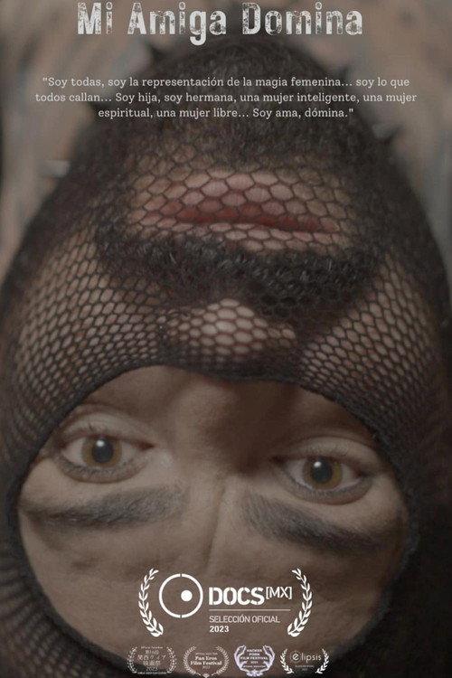 Mi amiga Domina  official movie poster