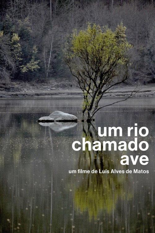Um Rio Chamado Ave 2012 official movie poster