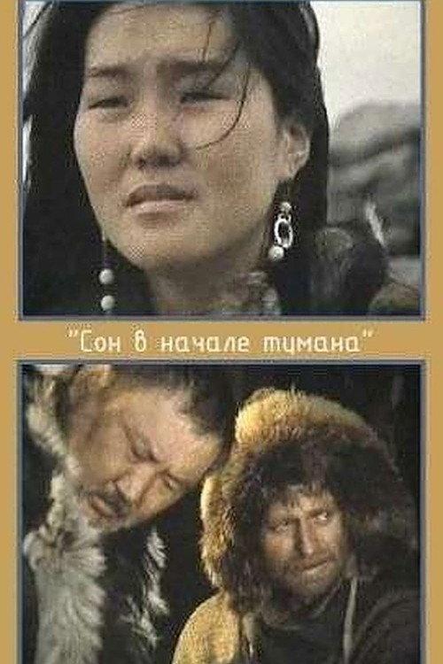 A Dream in Polar Fog 1994 official movie poster